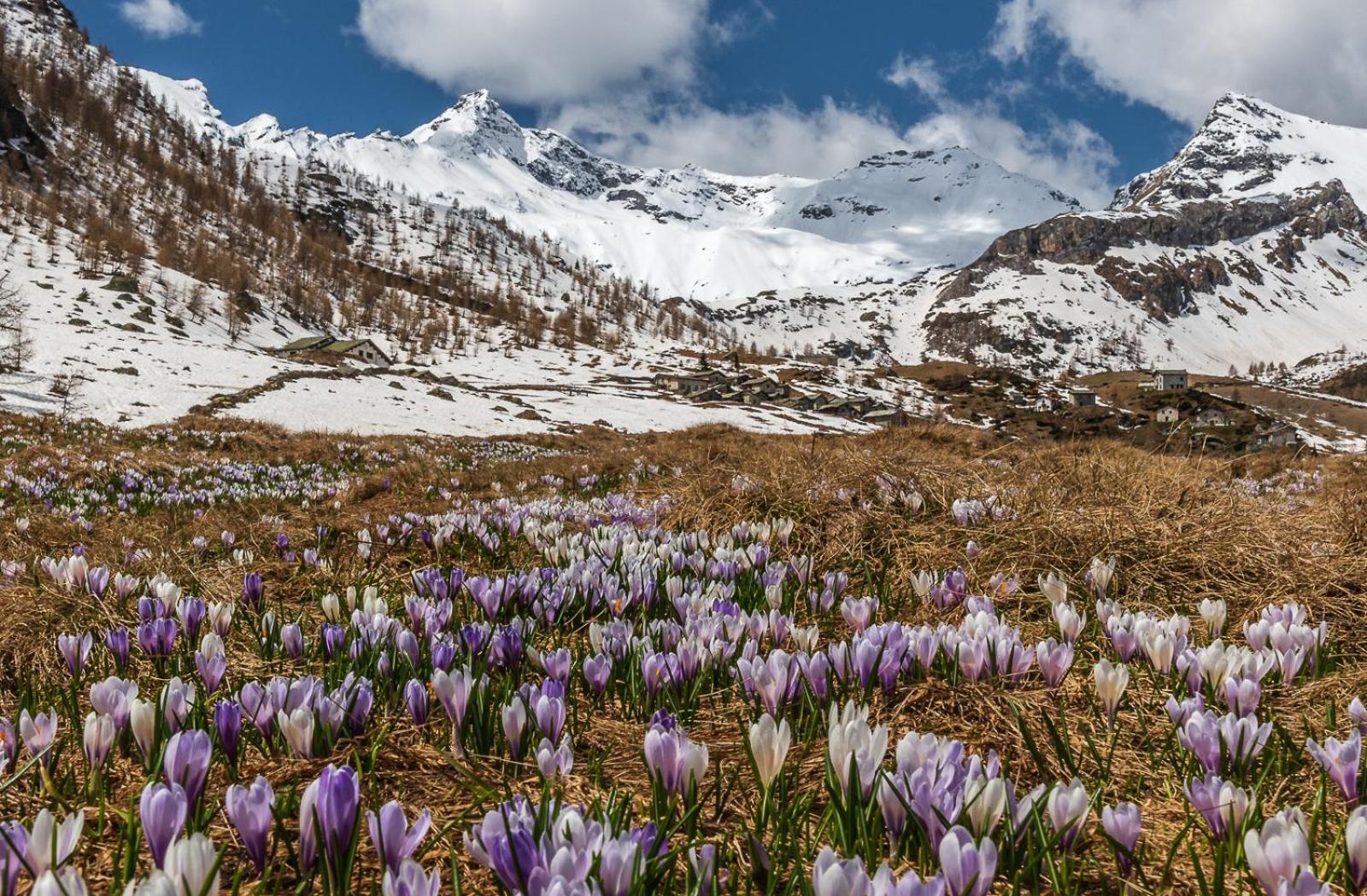 Belcolle, Il Bello Della Tranquillita Chiavenna Zewnętrze zdjęcie